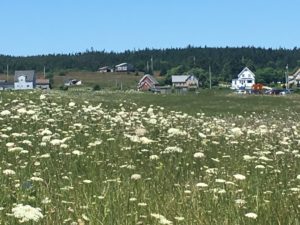 Nova Scotia