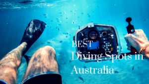 best diving in Australia