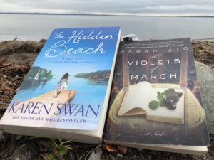 Front cover image of The Hidden Beach and The Violets of March on a rock overlooking water